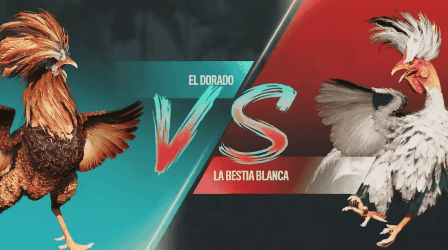 e66 Login Casino Site oficial